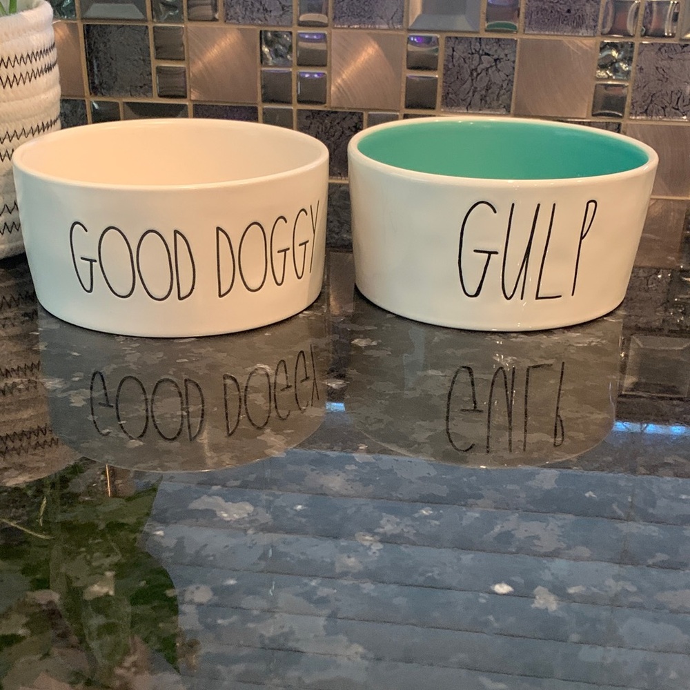 Rae Dunn White and Teal Dog Bowls Set